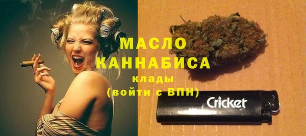 спиды Инсар